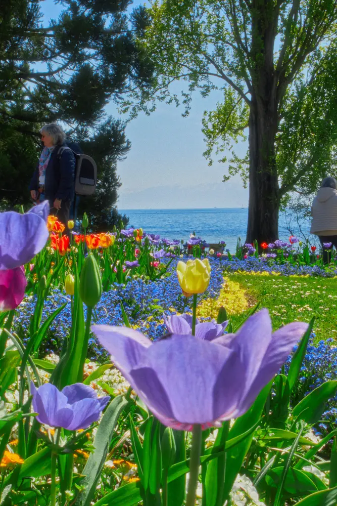 Mainau 2026