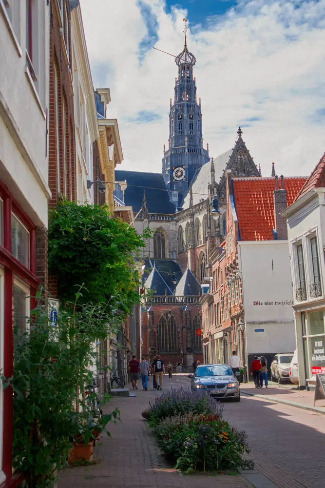 Belgium & Netherlands 2025