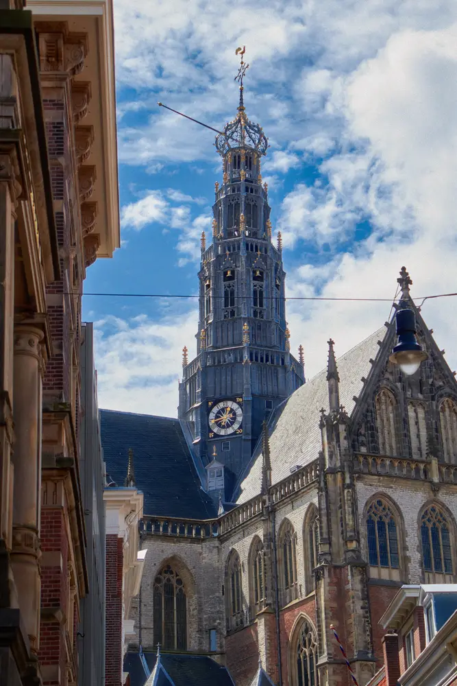 Belgium & Netherlands 2025